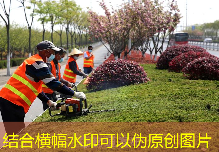 定州市政绿化公司需要建造师吗现在