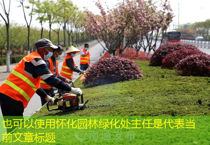怀化园林绿化处主任是
