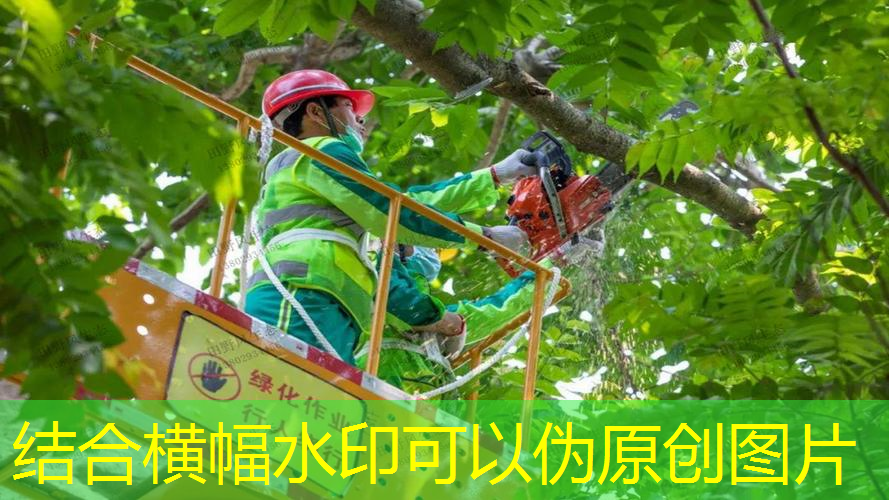 南宫市园林绿化公司
