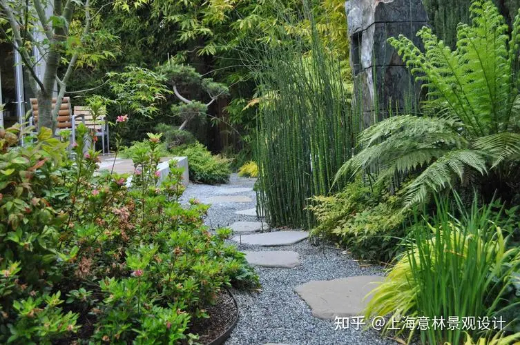 思茅市政绿化常用树