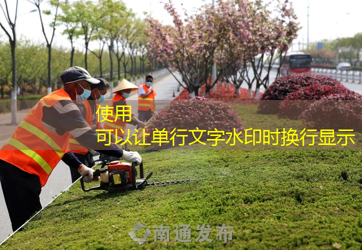 无锡城市绿化树木
