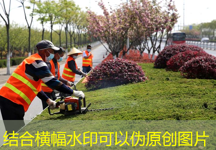 新乡市政绿化公司累吗