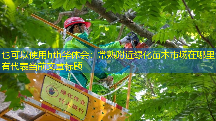 常熟附近绿化苗木市场在哪里有