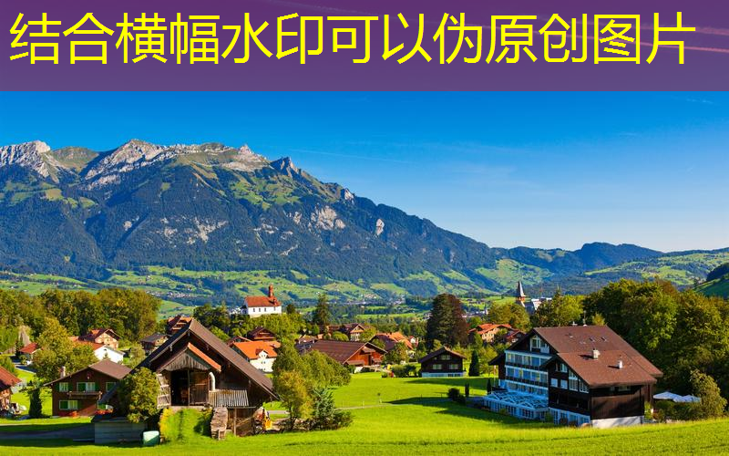 公园园林景观设计与施工