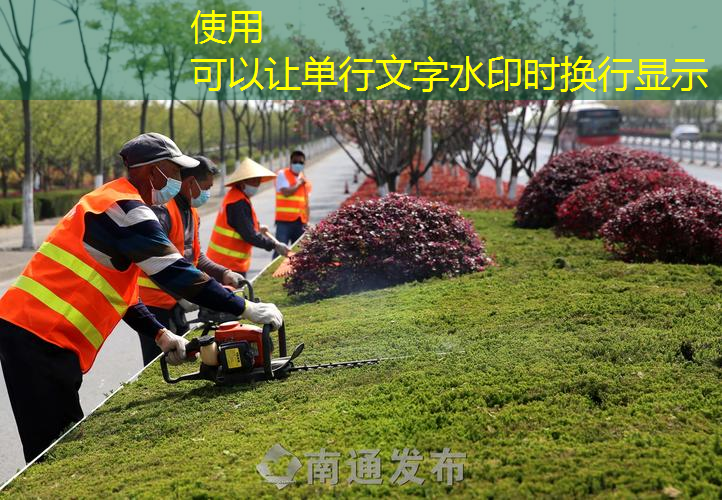 忻州市城市绿化条例