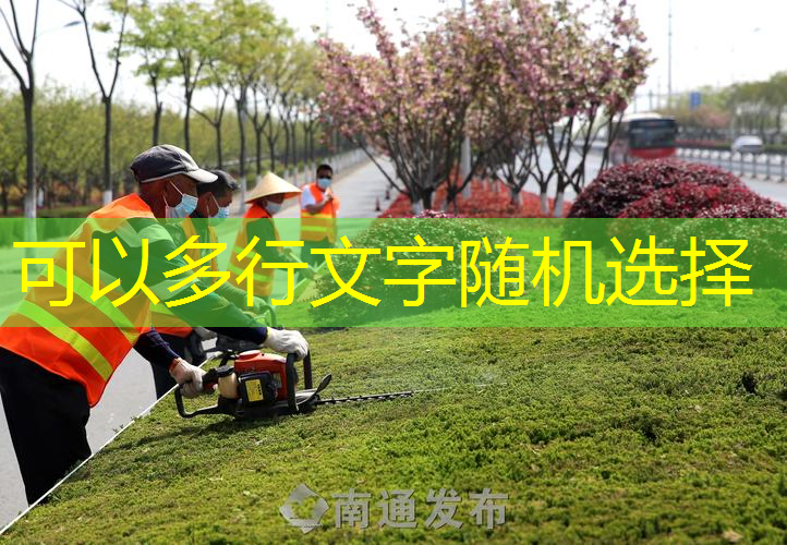 三门峡绿化苗木批发市场在哪