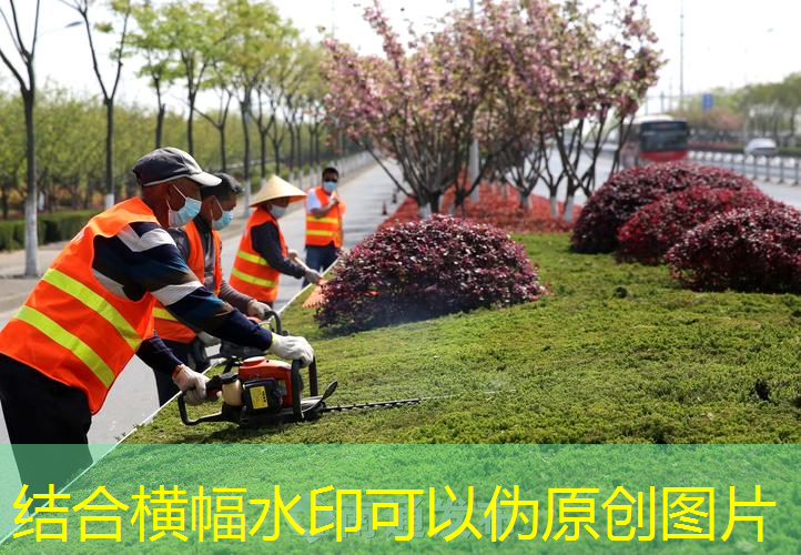 厦门园林绿化工程公司姜伟简介