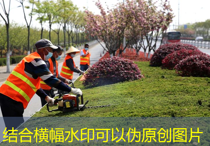 唐山市容绿化管理局