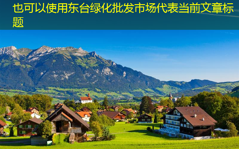 东台绿化批发市场