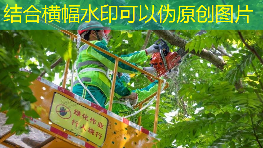 大型石雕园林景观设计