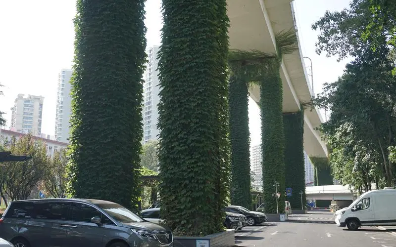 园林绿化工程中栽植地被苗的人工