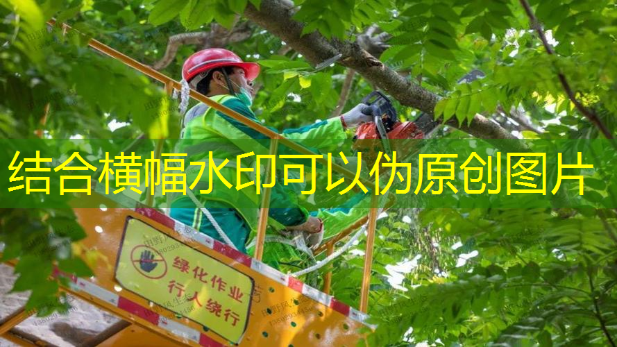 蓉都大道锦悦湾安置房绿化工程