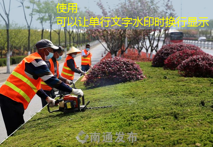 市政园林管理存在短板：专家建议如何完善？