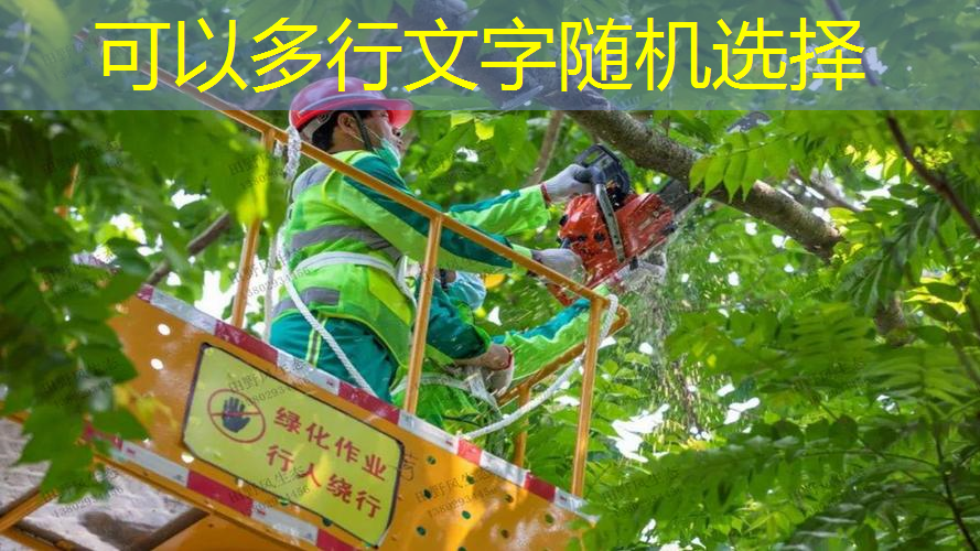 九华路隧道北延绿化工程