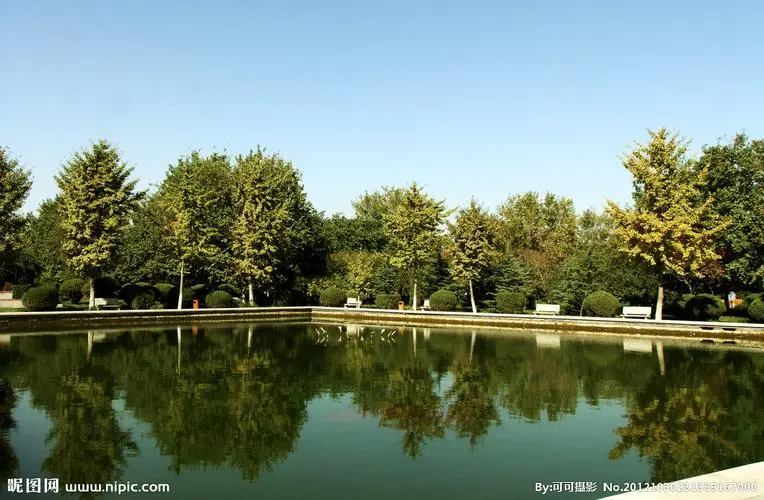 维护园林生态平衡的现实任务：市园林管理不足造成植物种植失衡